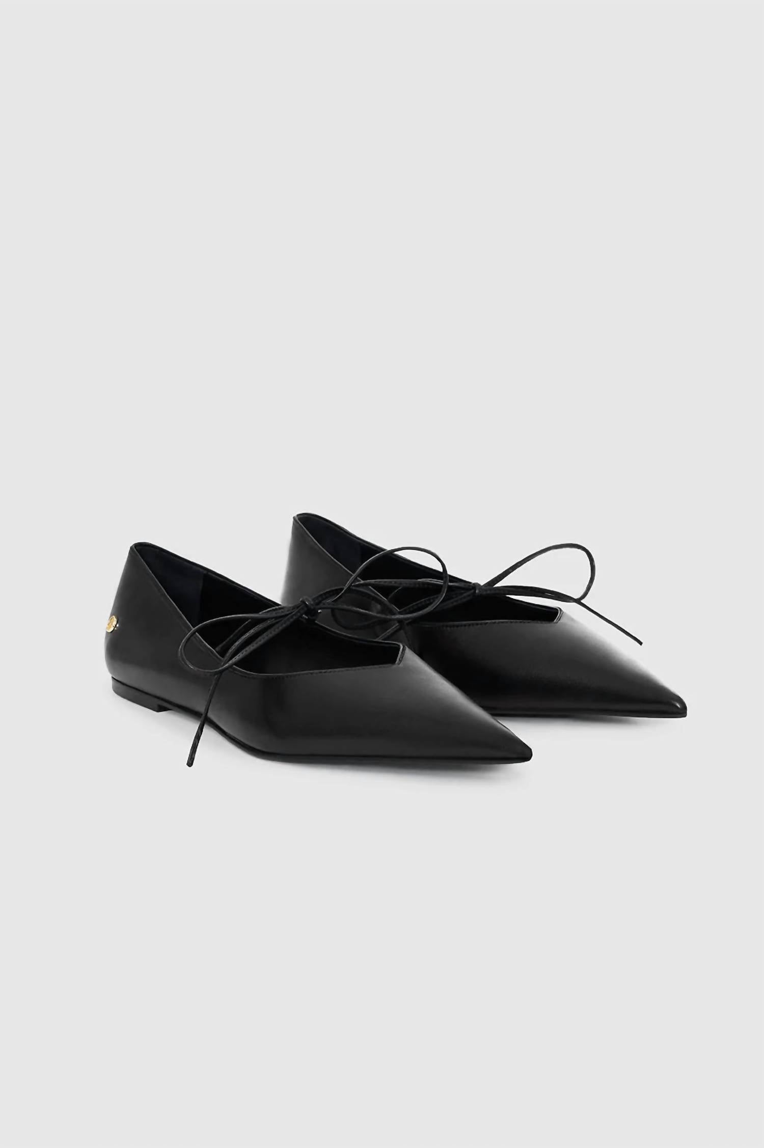009914c4-d7e9-4183-9305-6b359c923cef-upscale_15k-1500x1500-70 Anine Bing - Women's Nikki Flats - Image 1