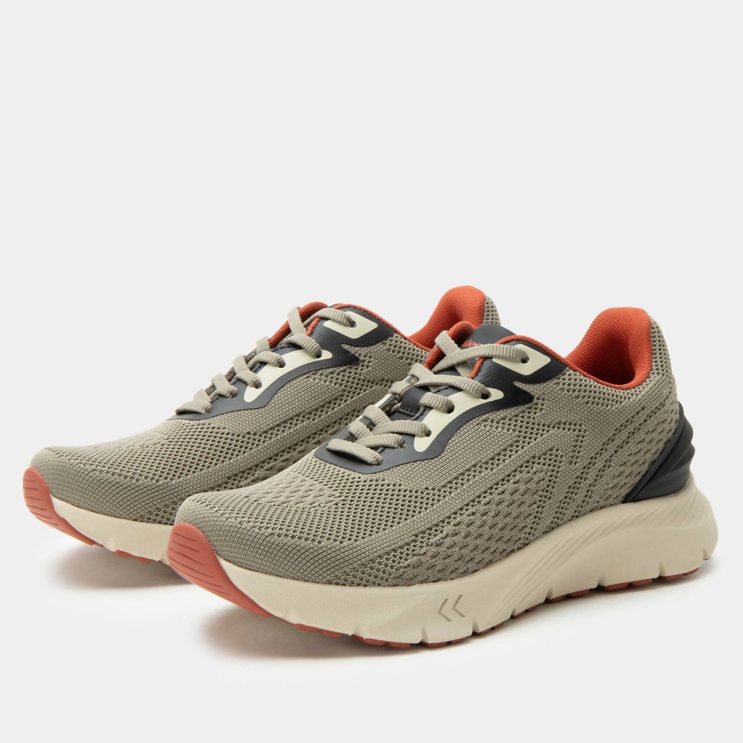 216abb84-ddc8-45b2-926c-49443f4da5c0-upscale_15k-1500x1500-70 Alegria - Women's Rize Sneaker - Image 1