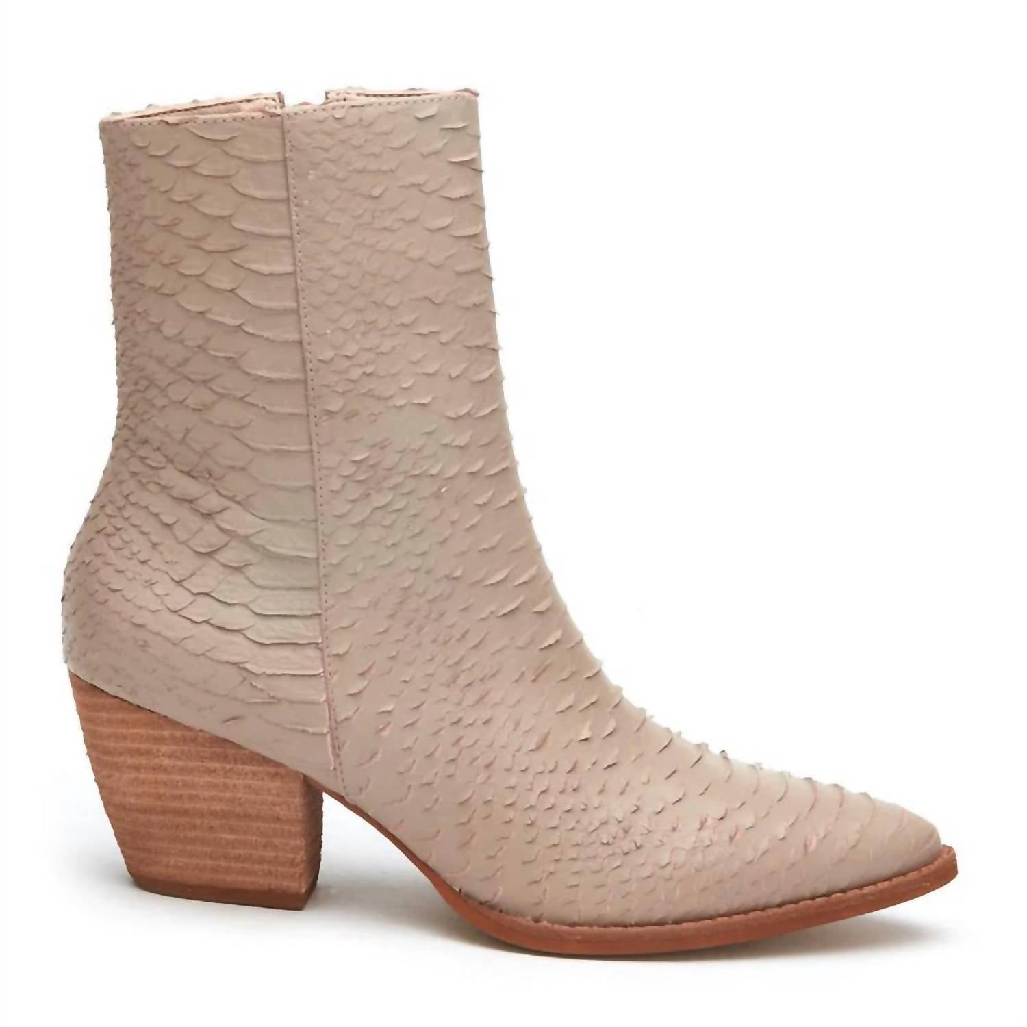 7b70a696-b96c-45dd-8bda-41efd38b0004-upscale_15k-1500x1500-70 Matisse - Women's Caty Bootie - Image 1